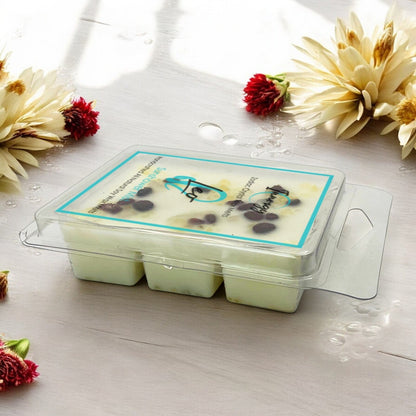 Fondants de cire de coco-soja de qualité supérieure enrichis en cristaux du signe du zodiaque Lion