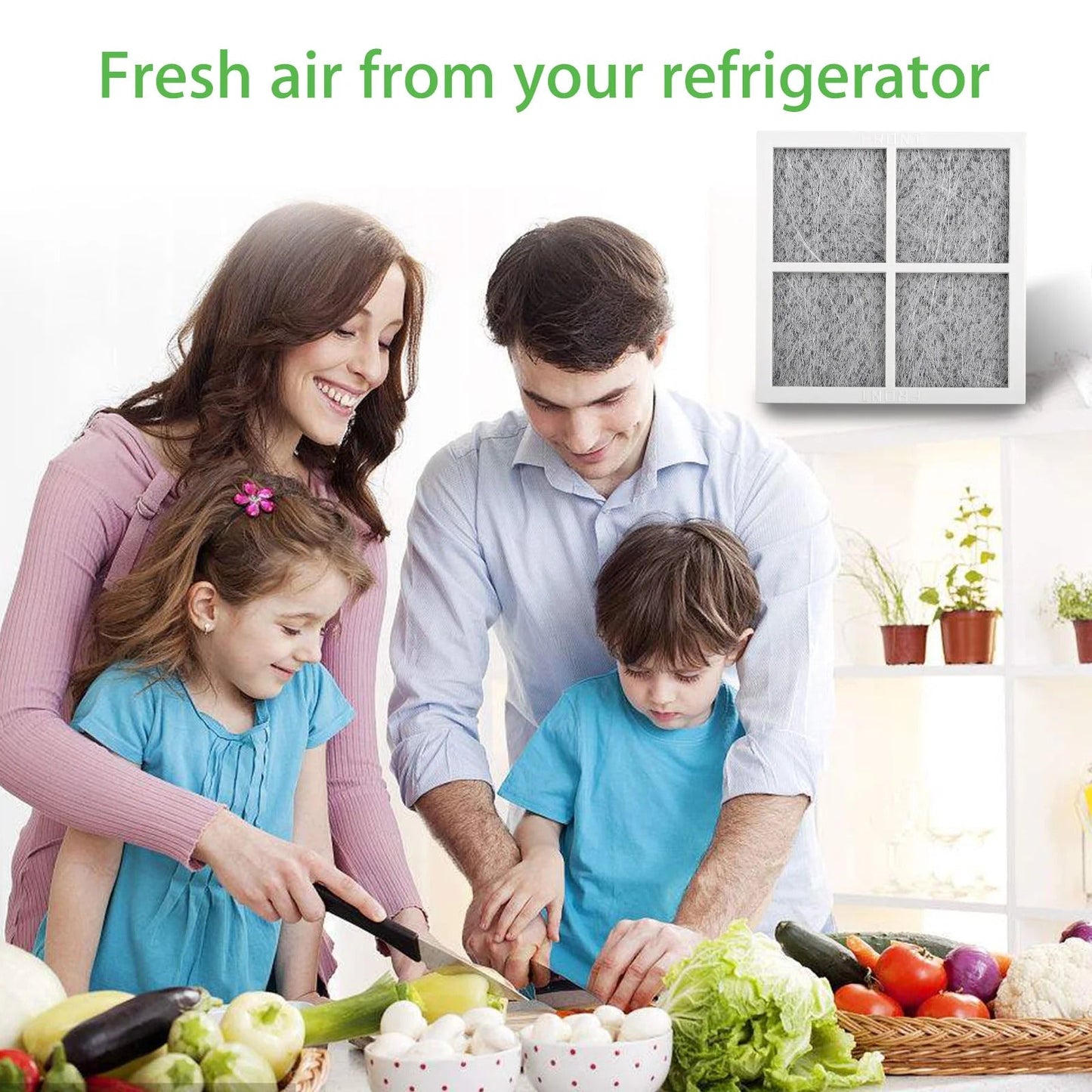 LG LT120F Refrigerator Air Filter - Tampa Home & Garden Store