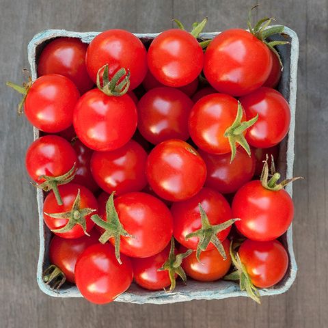 Sweetie Cherry Tomato seeds red cherry tomatoes in a gray carton about 20 on Tampa Home & Garden Store
