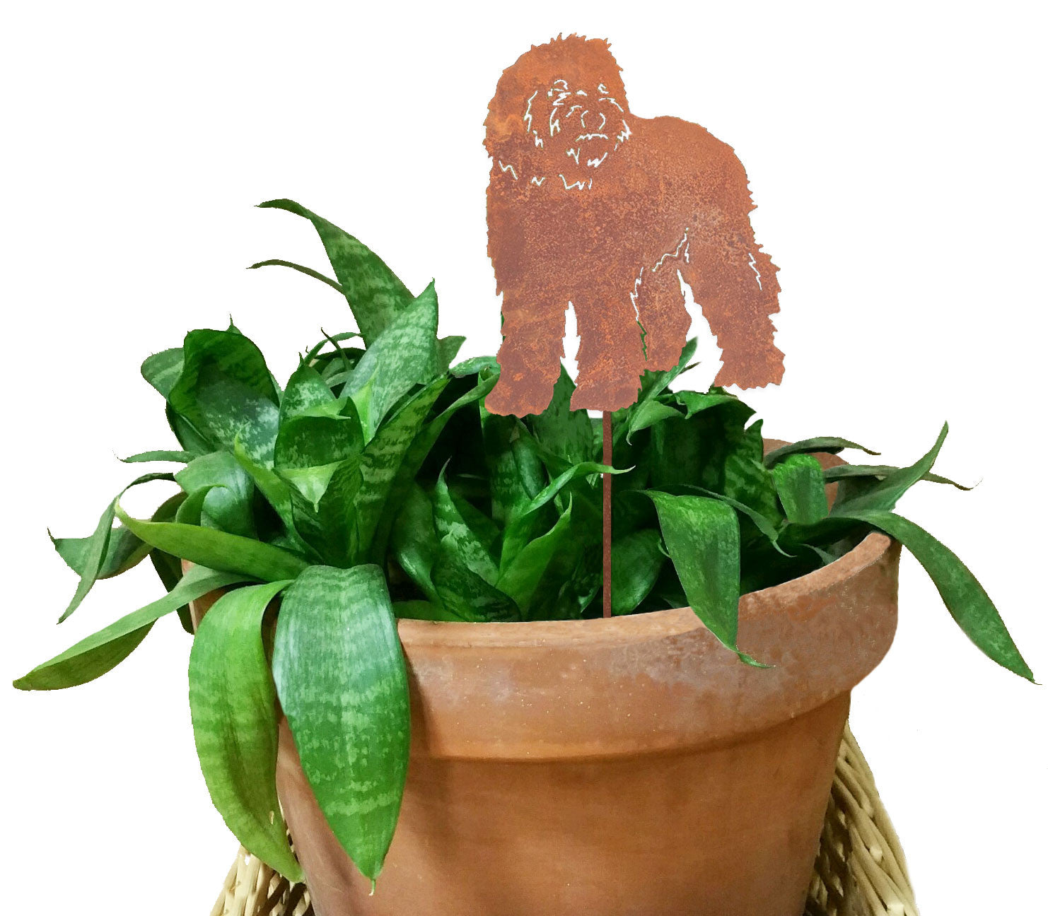 Labradoodle plant stake decorative marker in rust metal in a terracotta pot with green snake plant on Tampa Home & Garden Store