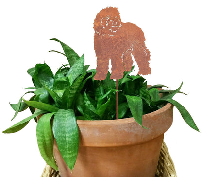 Labradoodle plant stake decorative marker in rust metal in a terracotta pot with green snake plant on Tampa Home & Garden Store