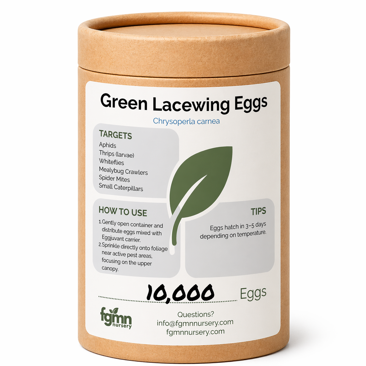Huevos de crisopa verde