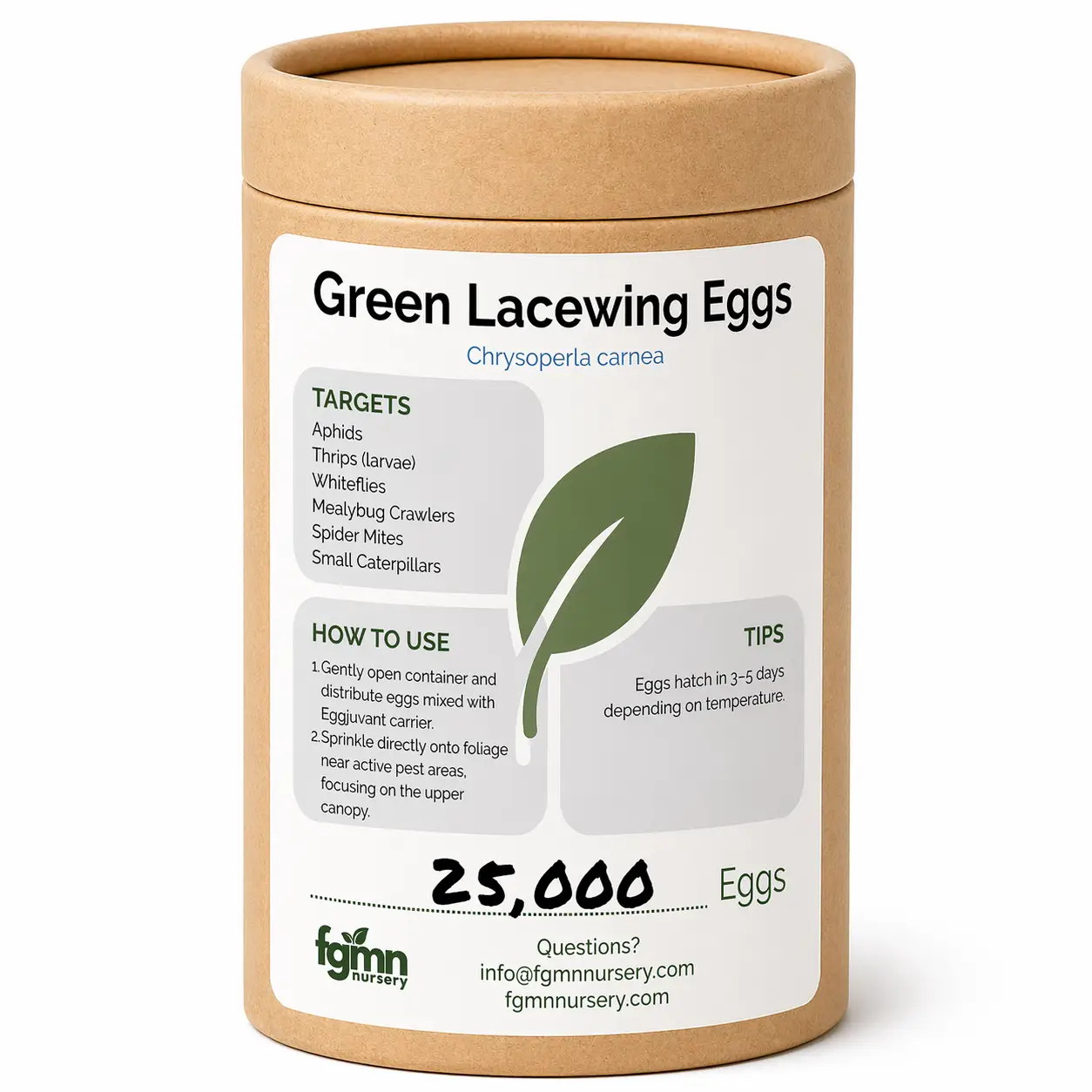 Huevos de crisopa verde