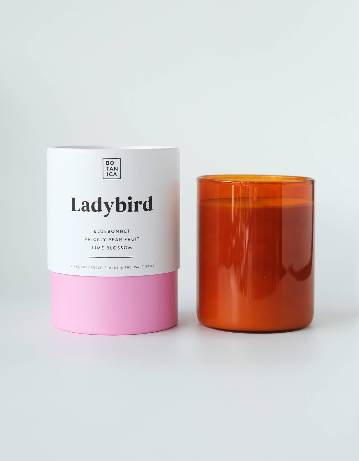 Ladybird Medium Candle | 7.5oz - Tampa Home & Garden Store