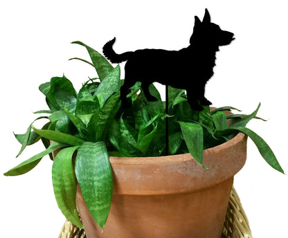 Lancashire Heeler Plant Stake black silhouette atop lush green plant in a terracotta pot on Tampa Home & Garden Store
