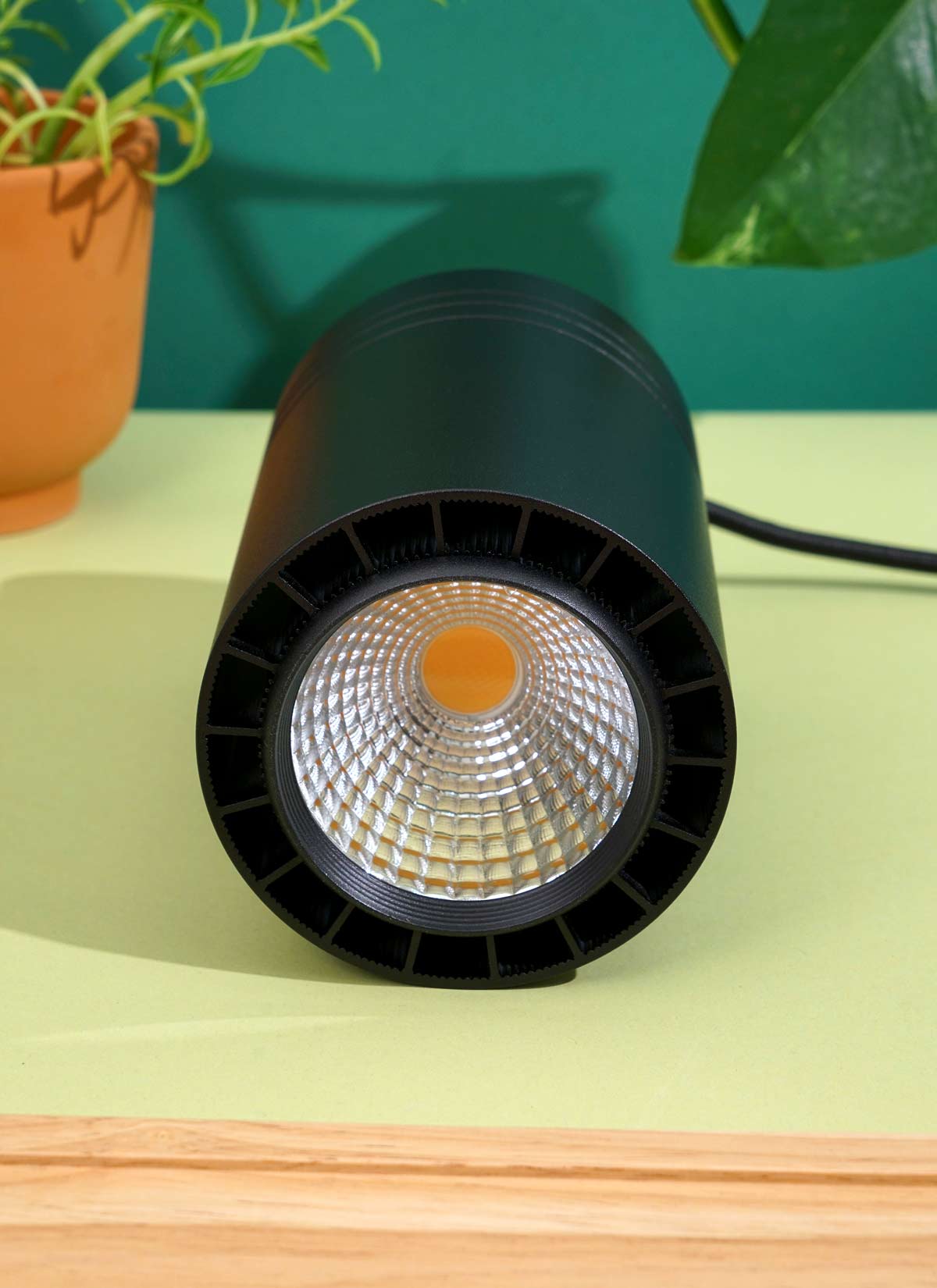 Lampe de croissance à LED Soltech Aspect | Lampe de croissance Aspect pour plantes