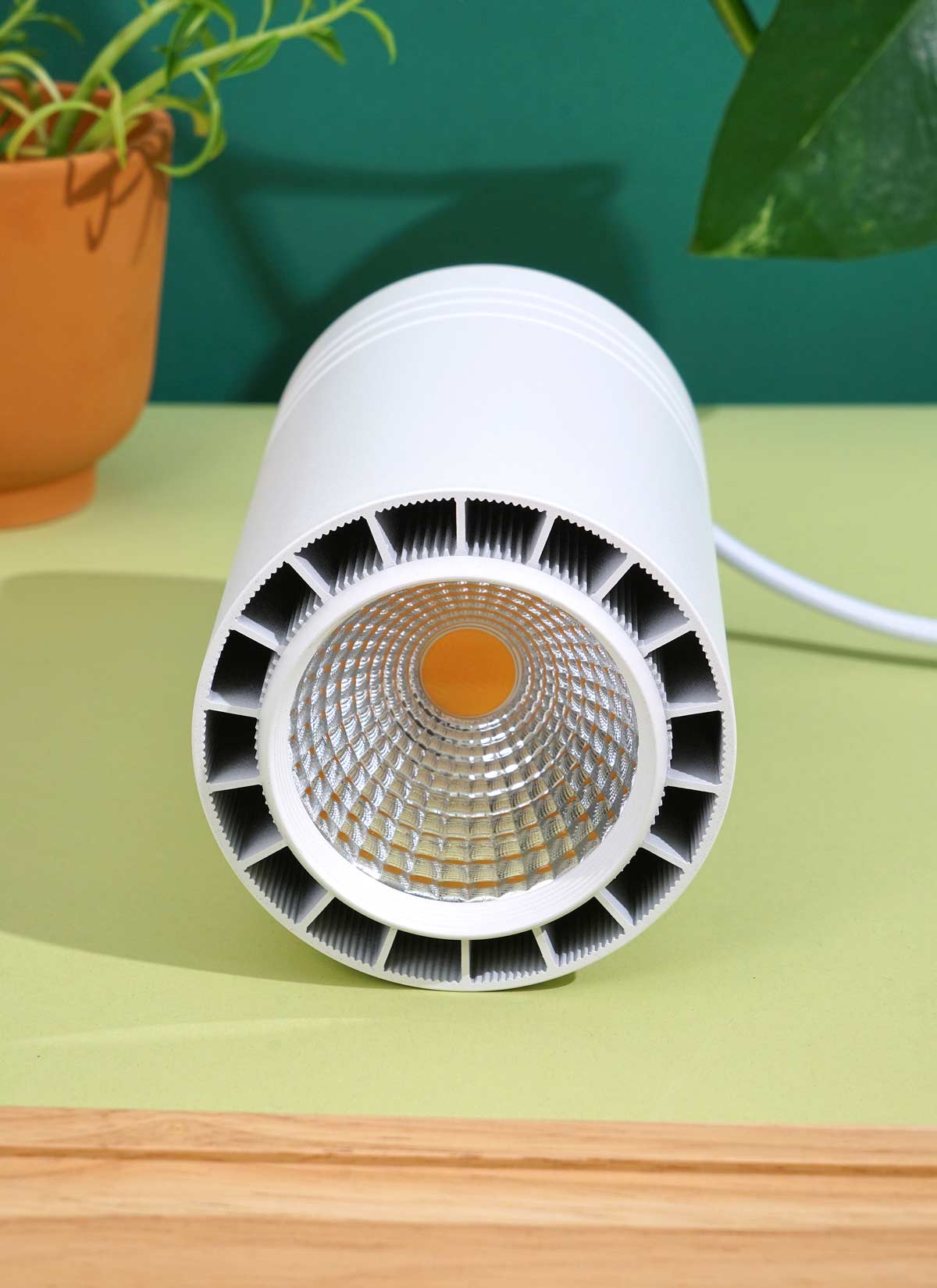 Lampe de croissance à LED Soltech Aspect | Lampe de croissance Aspect pour plantes