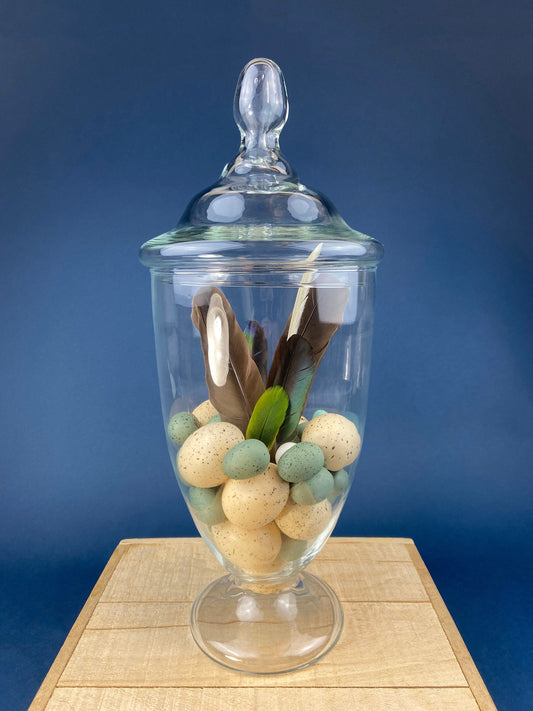 Large Lidded Apothecary with Eggs and Feathers. Alternative Spring/Easter Decor.  Footed, Glass Storage Jar. Table Centerpiece. Shabby Chic. - Tampa Home & Garden Store