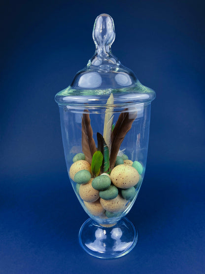 Large Lidded Apothecary with Eggs and Feathers. Alternative Spring/Easter Decor.  Footed, Glass Storage Jar. Table Centerpiece. Shabby Chic. - Tampa Home & Garden Store