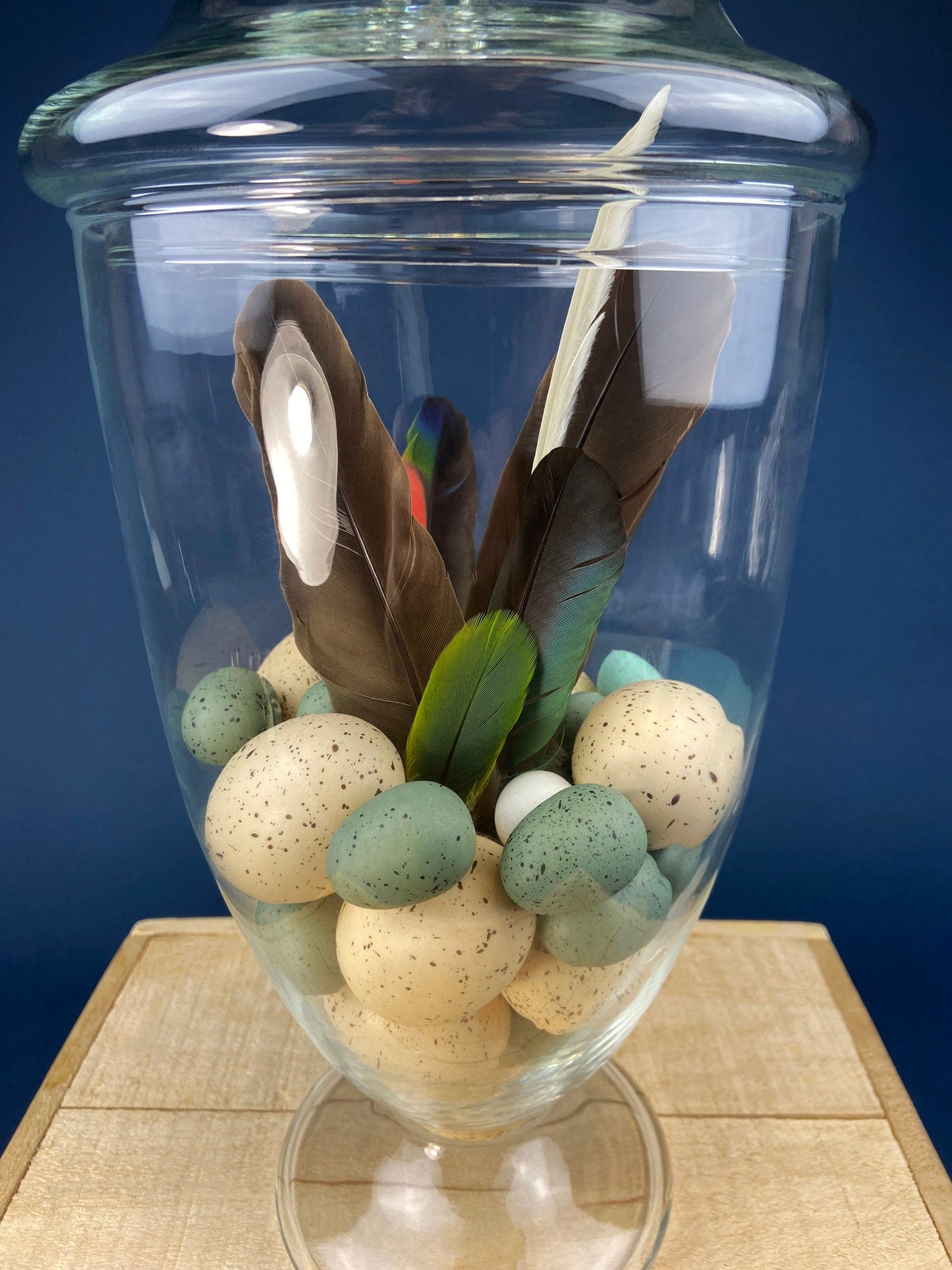 Large Lidded Apothecary with Eggs and Feathers. Alternative Spring/Easter Decor.  Footed, Glass Storage Jar. Table Centerpiece. Shabby Chic. - Tampa Home & Garden Store