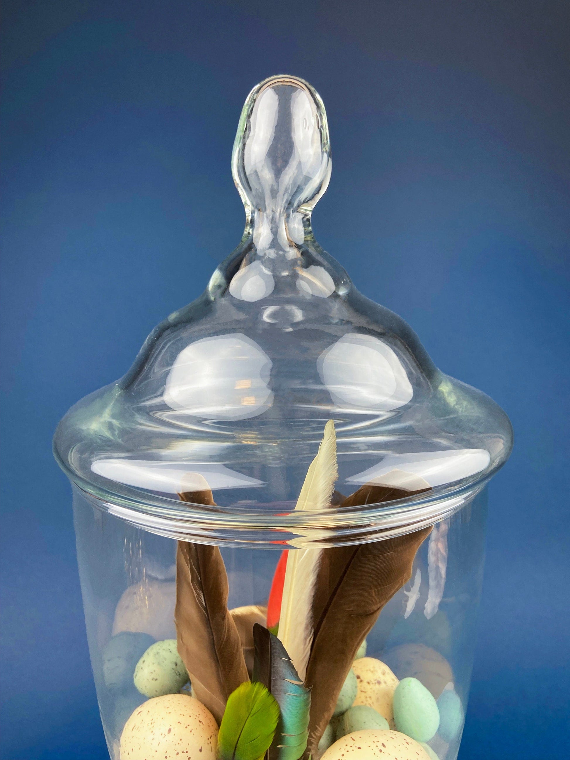 Large Lidded Apothecary with Eggs and Feathers. Alternative Spring/Easter Decor.  Footed, Glass Storage Jar. Table Centerpiece. Shabby Chic. - Tampa Home & Garden Store