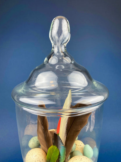 Large Lidded Apothecary with Eggs and Feathers. Alternative Spring/Easter Decor.  Footed, Glass Storage Jar. Table Centerpiece. Shabby Chic. - Tampa Home & Garden Store