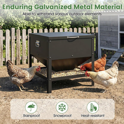 Large Capacity Chicken Feeder With Openable Lid