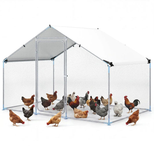 Large metal chicken coop 9.8 x 6.7 ft with white cover, galvanized frame DirectDeals on Tampa Home & Garden Store