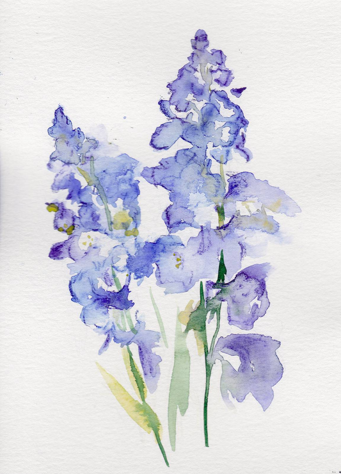 Espuela de caballero – Lámina artística de la flor de nacimiento de julio