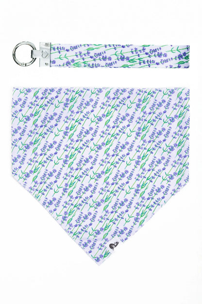 Lavender Blooms Dog Bandana & Matching Keychain - Tampa Home & Garden Store