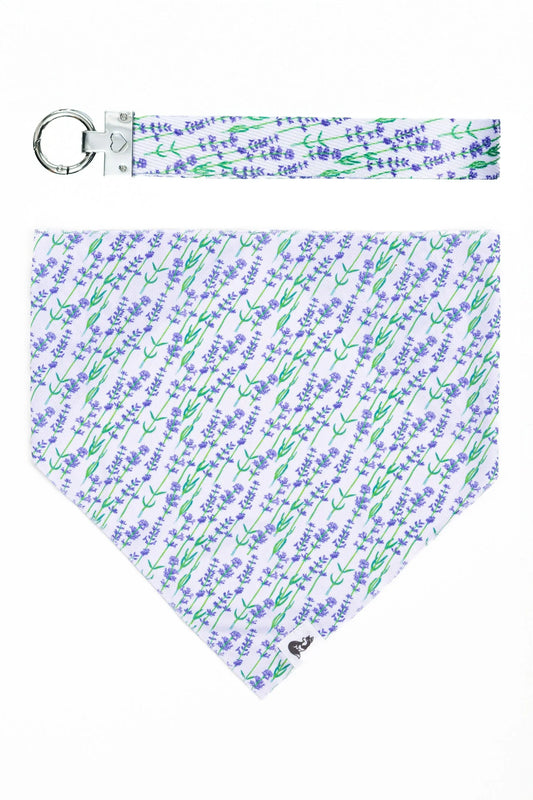 Lavender Blooms Dog Bandana & Matching Keychain - Tampa Home & Garden Store