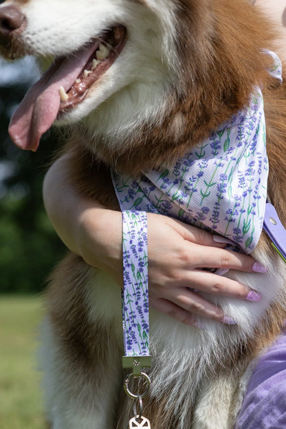 Lavender Blooms Dog Bandana & Matching Keychain - Tampa Home & Garden Store