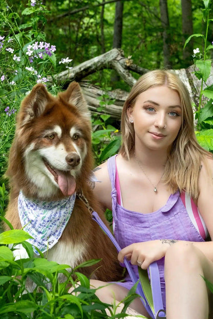 Lavender Blooms Dog Bandana - Tampa Home & Garden Store