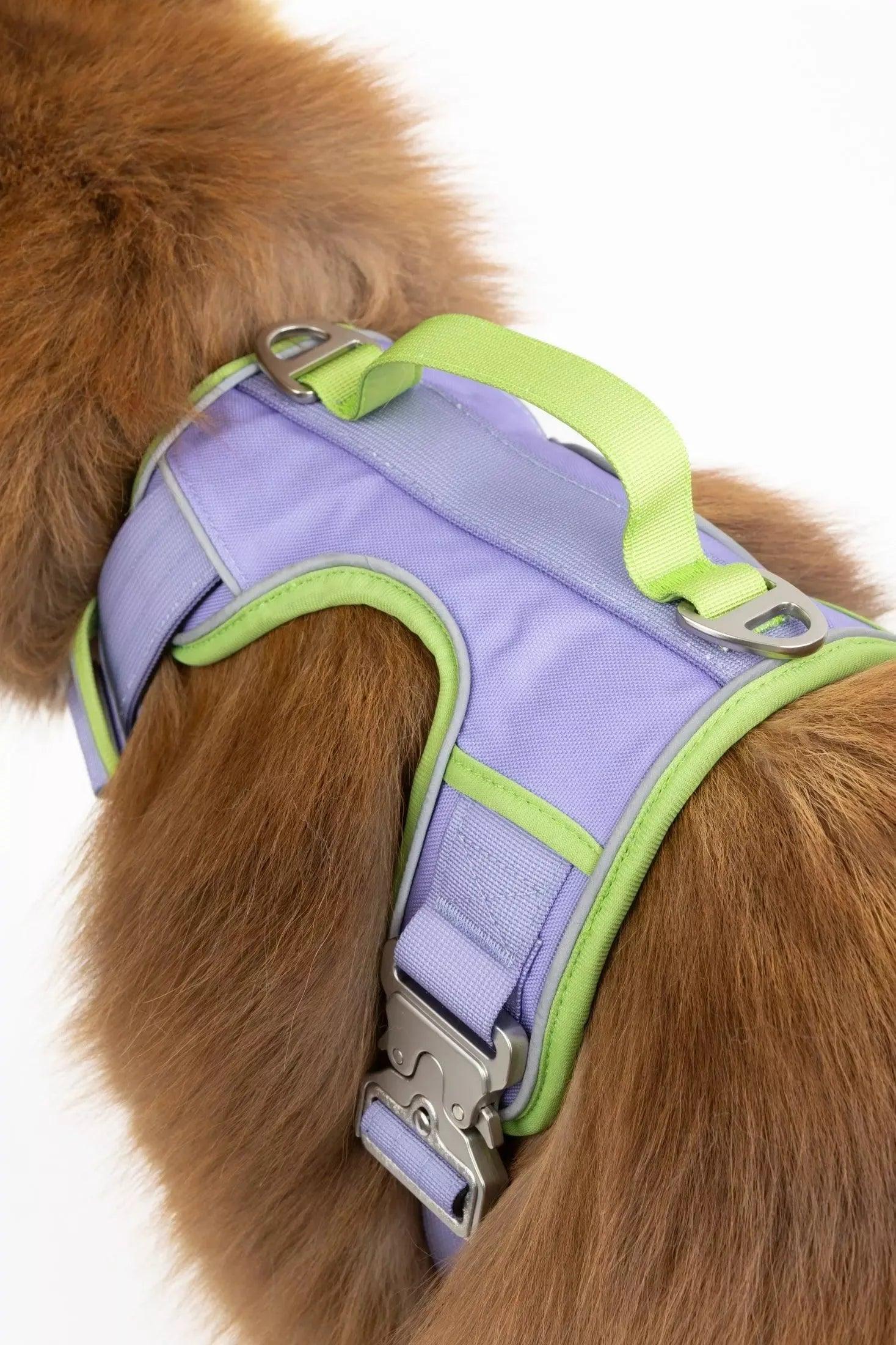 Lavender Garden Ultimate Dog Harness - Tampa Home & Garden Store