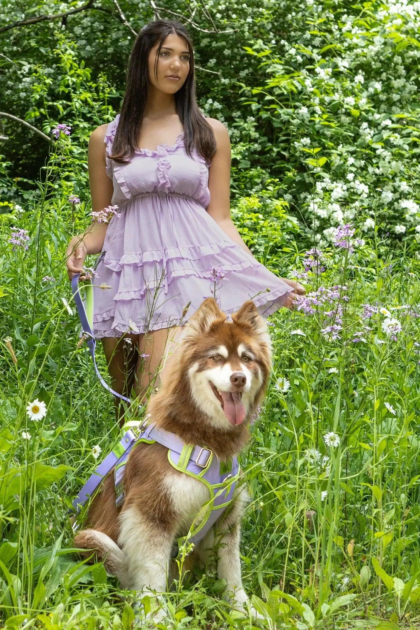 Lavender Garden Ultimate Dog Harness - Tampa Home & Garden Store