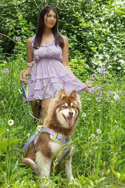Lavender Garden Ultimate Dog Harness - Tampa Home & Garden Store