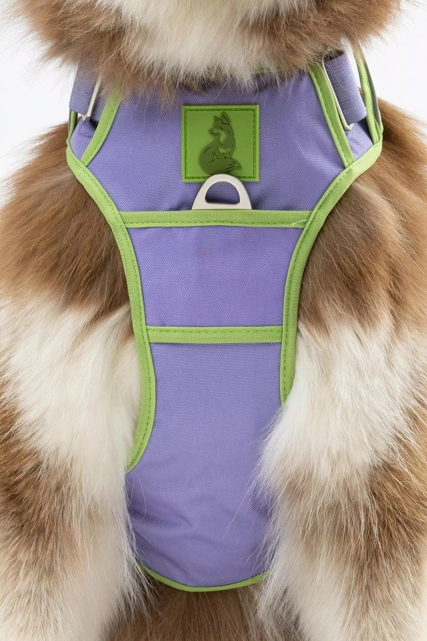 Lavender Garden Ultimate Dog Harness - Tampa Home & Garden Store