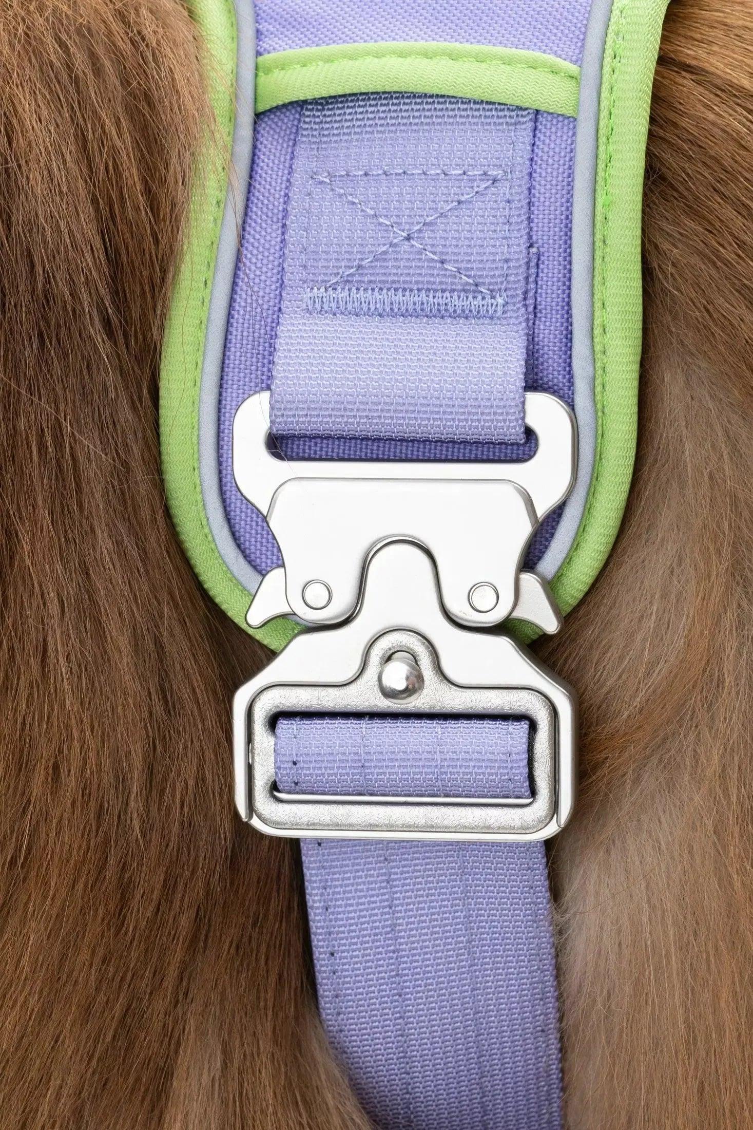 Lavender Garden Ultimate Dog Harness - Tampa Home & Garden Store