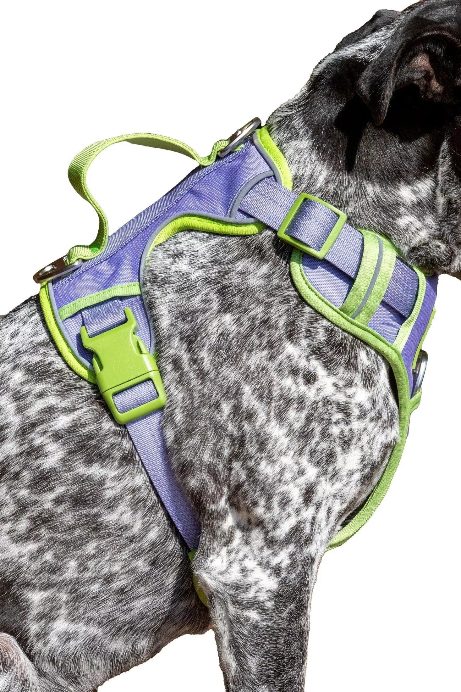 Lavender Garden Ultimate Dog Harness - Tampa Home & Garden Store