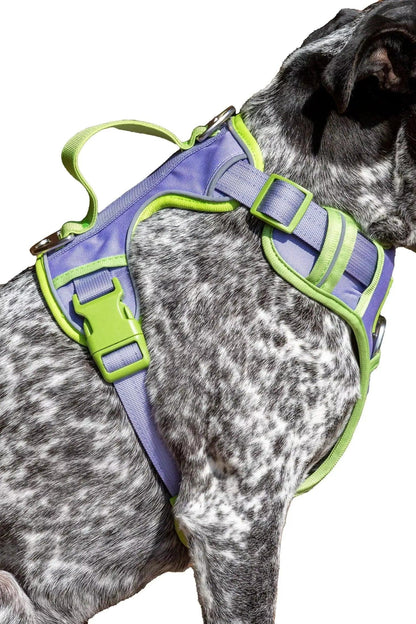 Lavender Garden Ultimate Dog Harness - Tampa Home & Garden Store