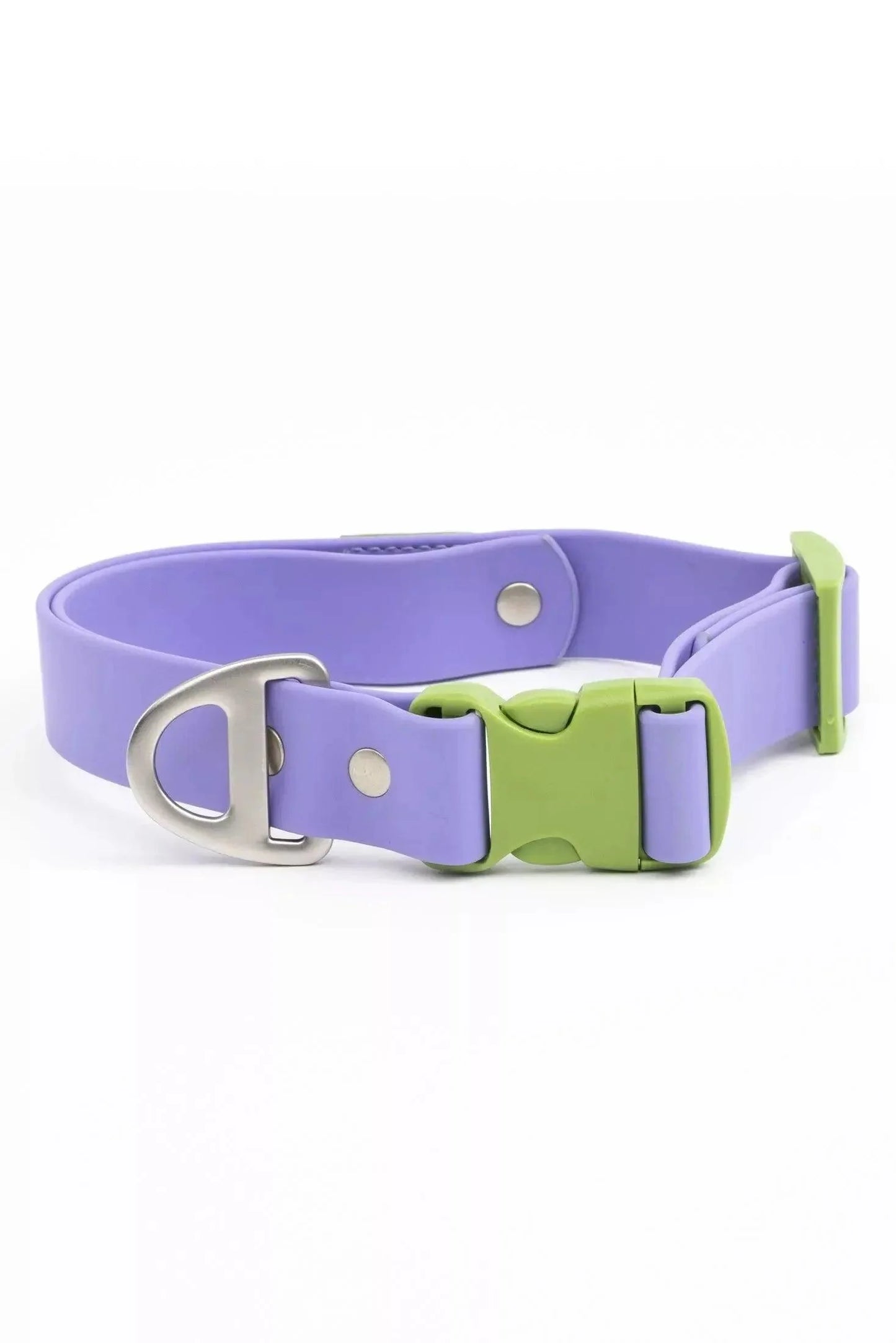 Lavender Garden Waterproof Dog Collar - Tampa Home & Garden Store