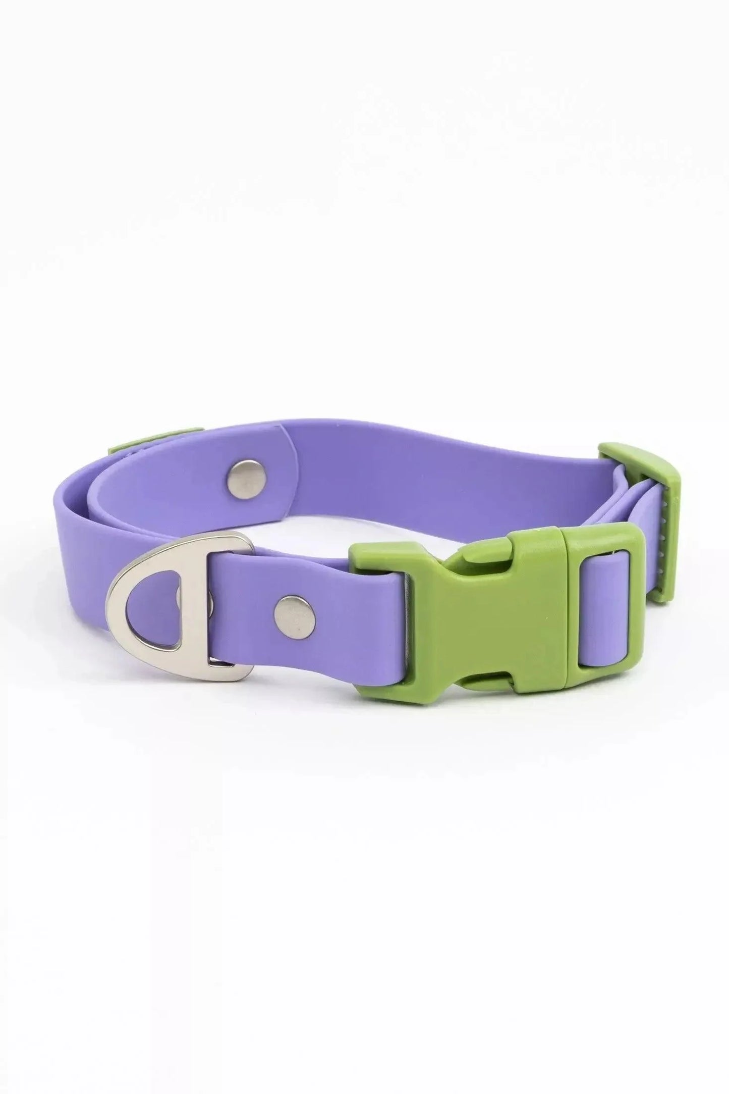 Lavender Garden Waterproof Dog Collar - Tampa Home & Garden Store
