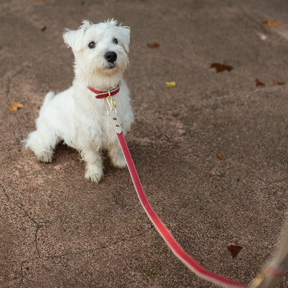 Leash 4ft - Vegan Leather - Copenhagen - Tampa Home & Garden Store