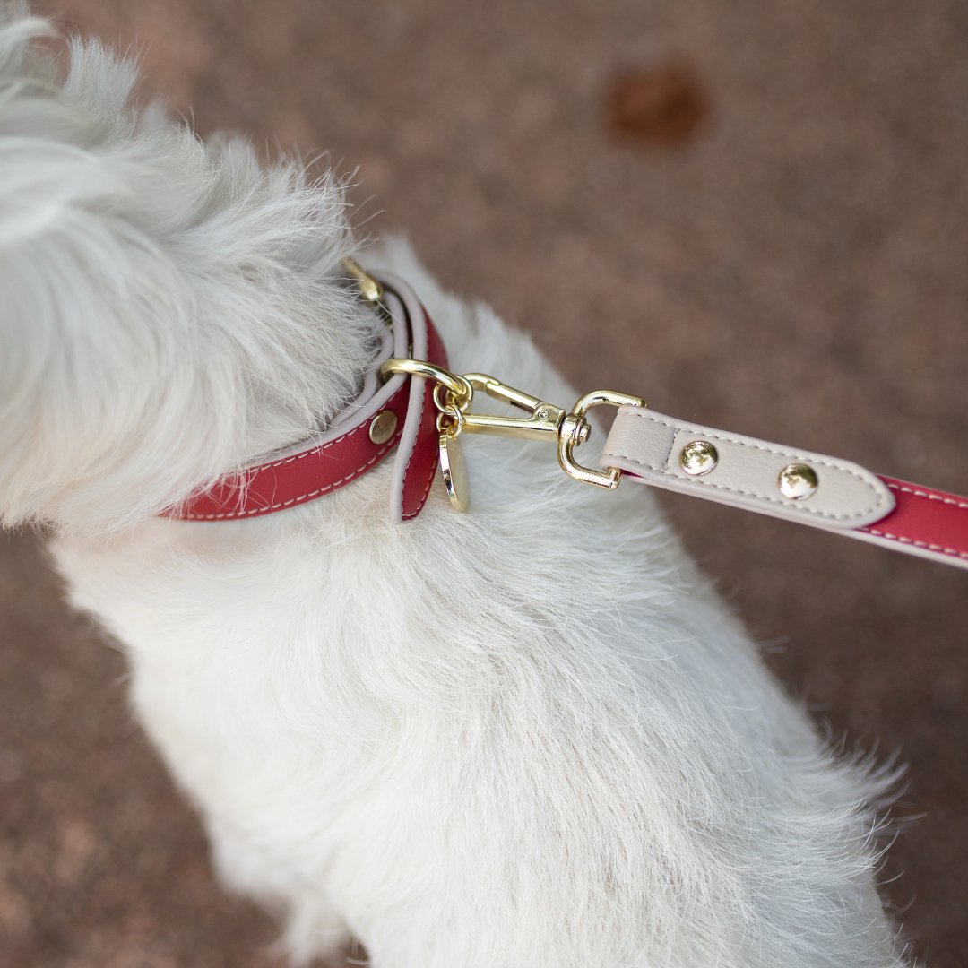 Leash 4ft - Vegan Leather - Copenhagen - Tampa Home & Garden Store