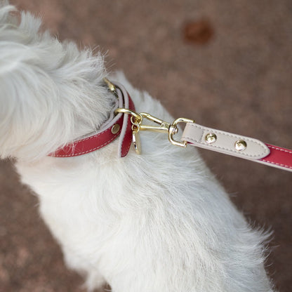 Leash 4ft - Vegan Leather - Copenhagen - Tampa Home & Garden Store