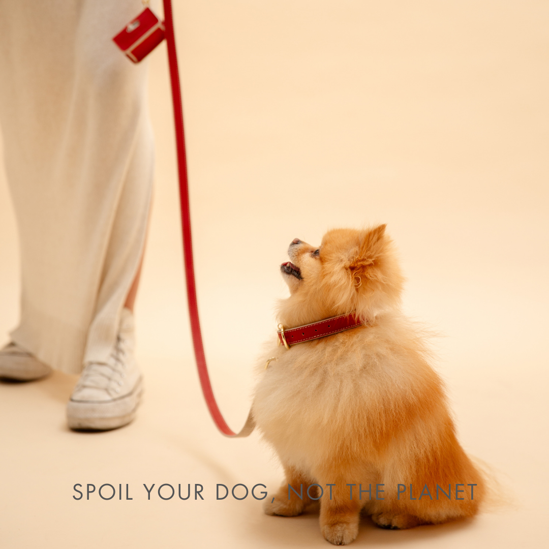 Leash 4ft - Vegan Leather - Copenhagen - Tampa Home & Garden Store