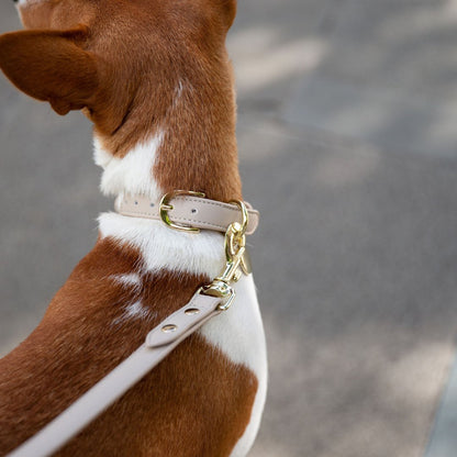 Leash 4ft - Vegan Leather - Cupertino - Tampa Home & Garden Store