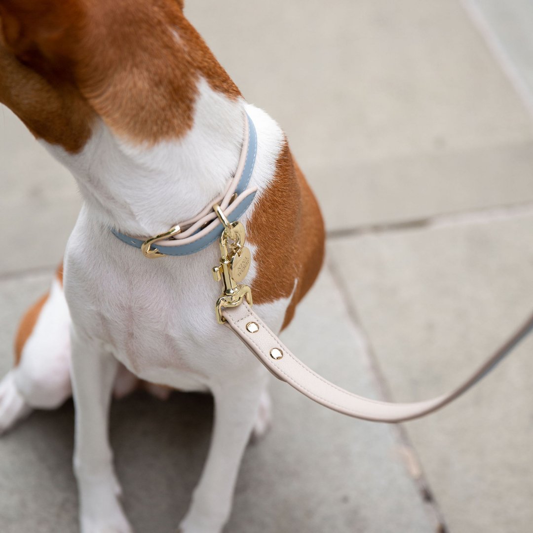 Leash 4ft - Vegan Leather - Cupertino - Tampa Home & Garden Store