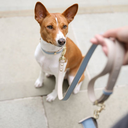 Leash 4ft - Vegan Leather - Cupertino - Tampa Home & Garden Store