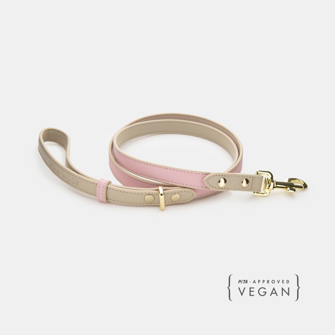 Leash 4ft - Vegan Leather - Cupertino - Tampa Home & Garden Store