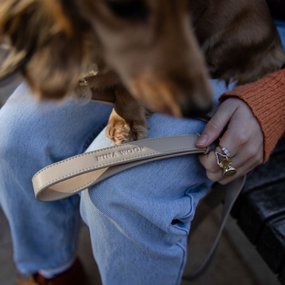 Leash 4ft - Vegan Leather - London - Tampa Home & Garden Store