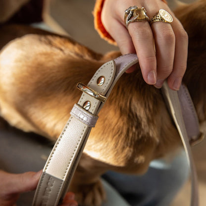 Leash 4ft - Vegan Leather - Milan - Tampa Home & Garden Store