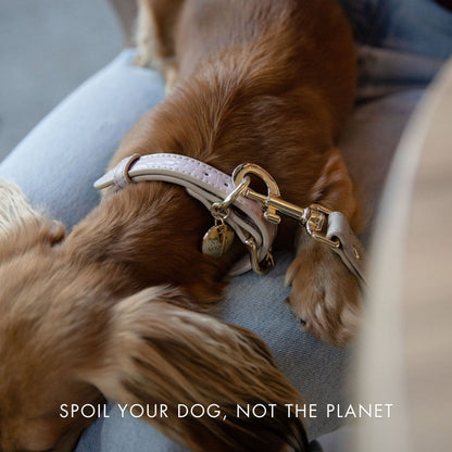 Leash 4ft - Vegan Leather - Milan - Tampa Home & Garden Store