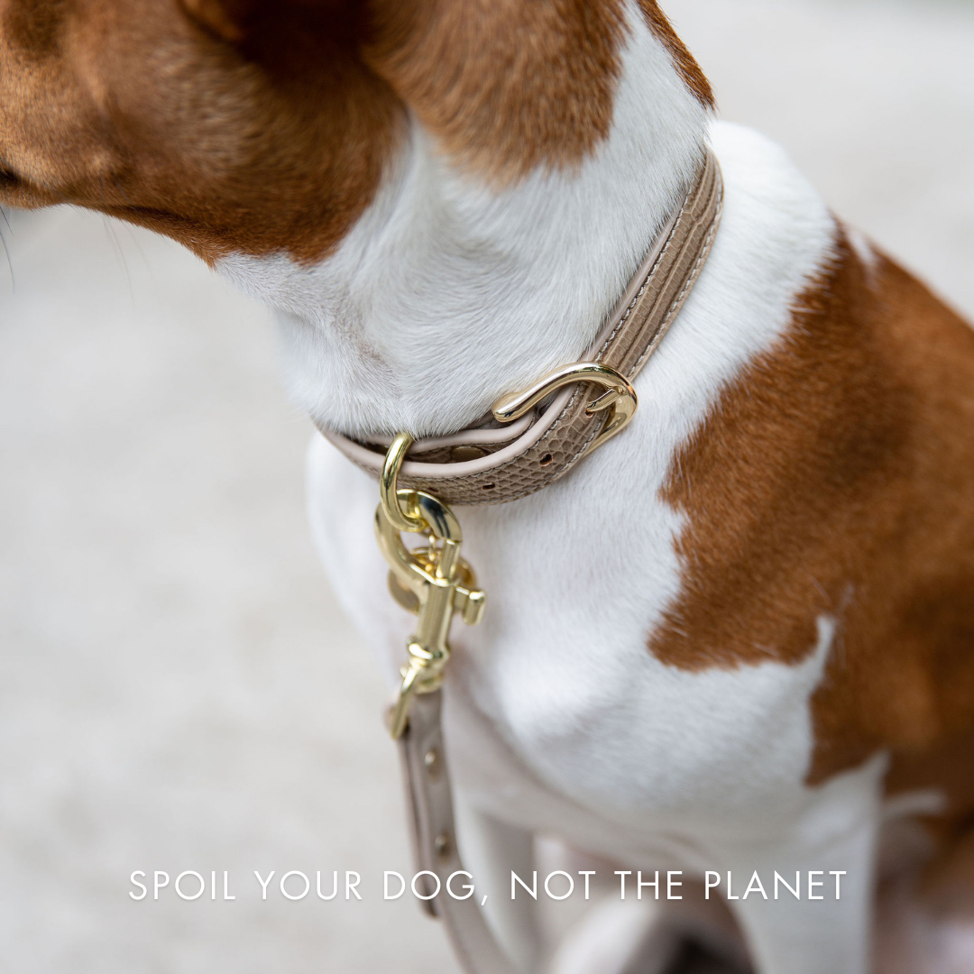Leash 4ft - Vegan Leather - Milan - Tampa Home & Garden Store