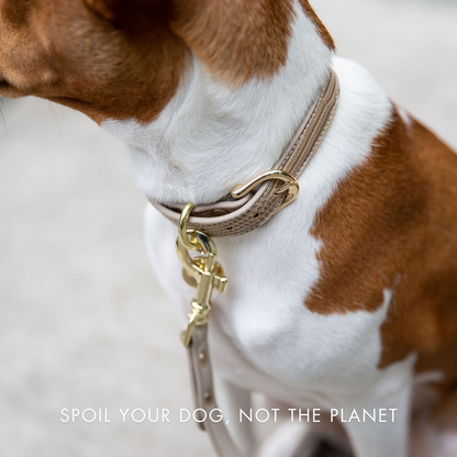 Leash 4ft - Vegan Leather - Milan - Tampa Home & Garden Store