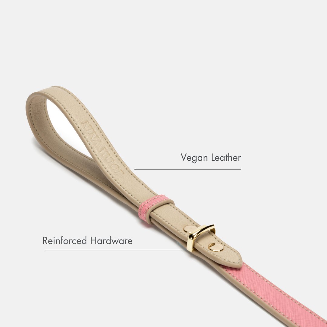 Leash 4ft - Vegan Leather - Rio - Tampa Home & Garden Store