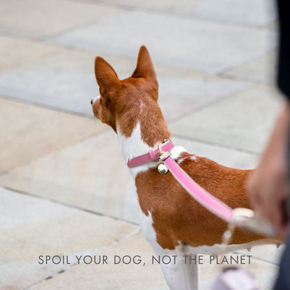 Leash 4ft - Vegan Leather - Rio - Tampa Home & Garden Store