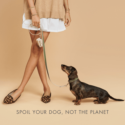 Leash 4ft - Vegan Leather - Tampa Home & Garden Store