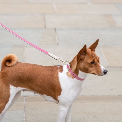 Leash 4ft - Vegan Leather - Tampa Home & Garden Store