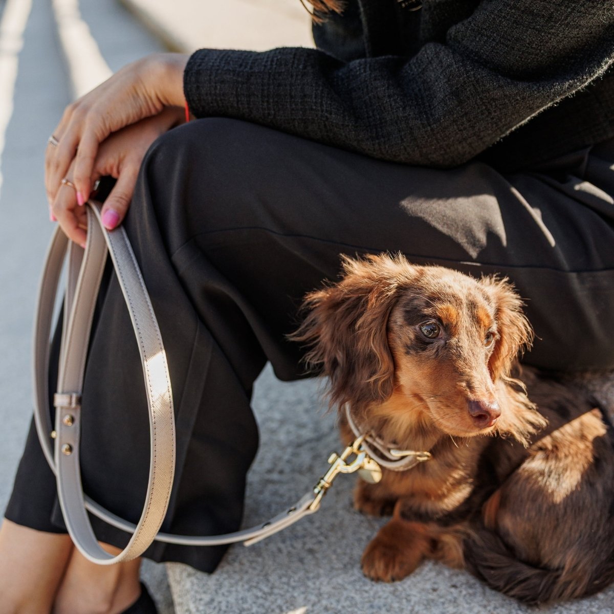 Leash 4ft - Vegan Leather - Tampa Home & Garden Store